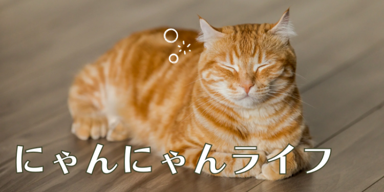 にゃんにゃんライフ